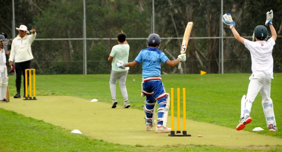 Home t20nplcricket trial 2
